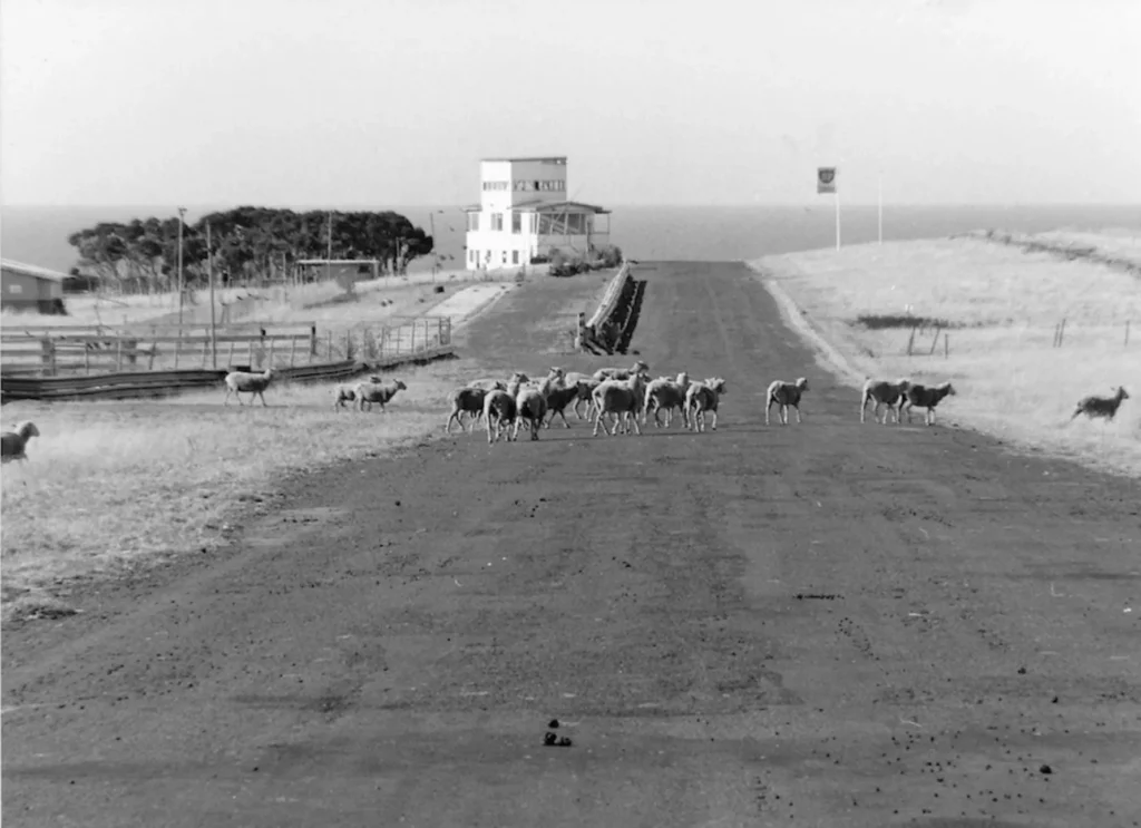 jcmi39 | Car Racing at Phillip Island Circuit